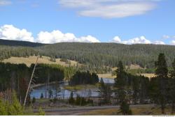 Photo References of Background Nature USA